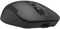 Мышь A4tech Fstyler FG16CS Air2 FG16CS AIR2 BLACK, цвет черный 1671992999