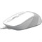 Мышь A4tech Fstyler FM10 WHITE, цвет белый 2118213345