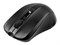 Мышь ACER OMR020 ZL.MCEEE.006, цвет черный 1630423123