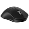 Мышь Logitech G PRO Х Superlight 2 DEX 910-007357, цвет черный 1637321635
