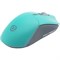 Мышь Raskat Мышь MG009WR, цвет зеленый 194774856