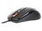Мышь A4Tech V-Track F5 черный/рисунок оптическая 3000dpi USB 6but 1596355937