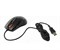 Мышь A4Tech V-Track F5 черный/рисунок оптическая 3000dpi USB 6but 1596355937