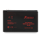 Сменная батарея для ИБП Powerman CA1272 824903596