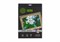 Бумага оранжевый Cactus CS-DA419010 1845247332