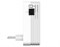 Адаптер PowerLine D-LINK DHP-W310AV 254564722