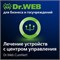 Доктор Веб Dr.Web CureNet! Неисключительное право на использование на 1 год 24 рабочие станции 924124770