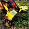 Аккумулятор CNHL Speedy Pizza V2.0 1200мАч 6S 120C LiPo (XT60) 446458303