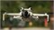 Поляризационный CPL фильтр DJI Mini 4 Pro (Freewell) 297941822