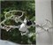 Защита пропеллеров DJI Mini 3 (SunnyLife) 1796937830
