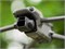 Набор нейтральных фильтров SPLIT DJI Mavic 3 (Freewell) 764513922