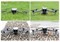 Удлинители шасси DJI Air 3 / Air 3S (Складные) (SunnyLife) 1755782626