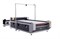 Лазерный станок Elixmate Conveyor 1630 CAM 1657306274