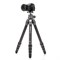 Штатив Benro TTOR35CGX35 Tortoise 1701286644