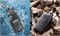 Рация Icom IC-F2000T 1501283552