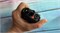 Рация Motorola DP4401E VHF DMR 131808393